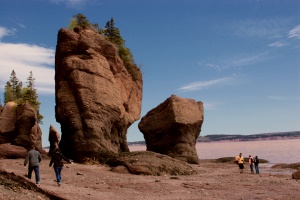 rotsen bij laag water | Bay of Fundy